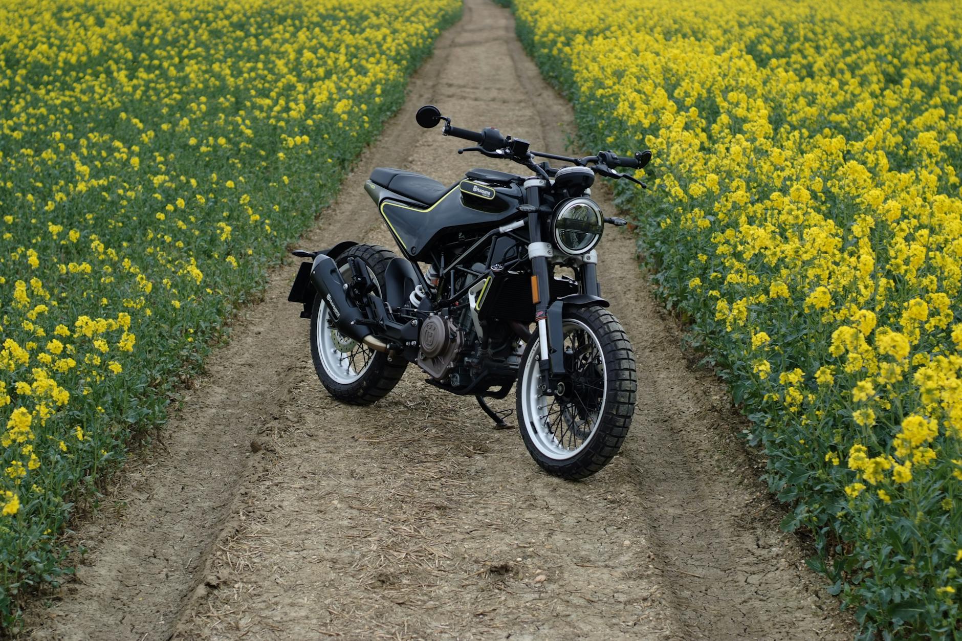 A sleek black motorcycle parked on a dirt path surrounded by vibrant yellow flowers.