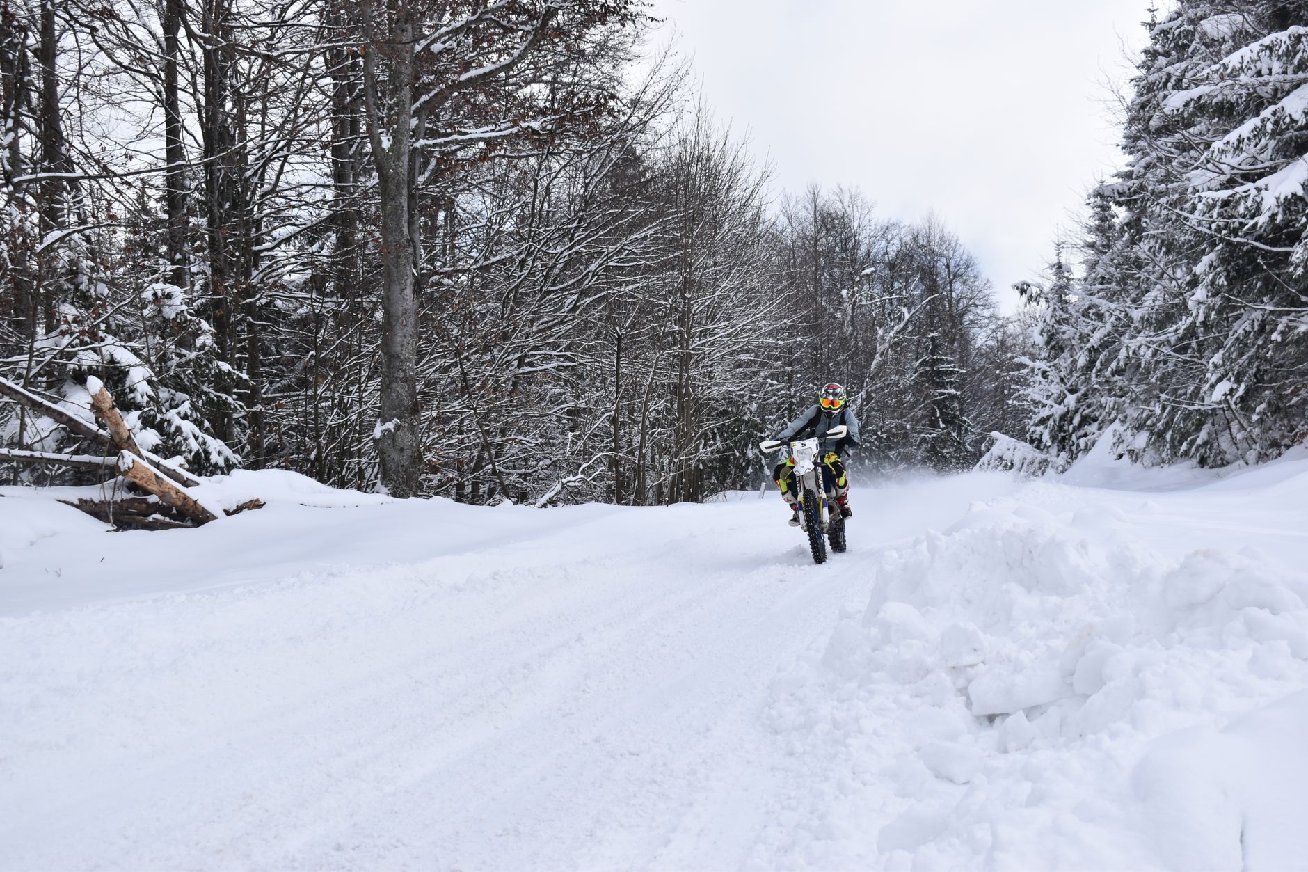 Motorcyclist rides through a snowy forest road in Băiuț, România.