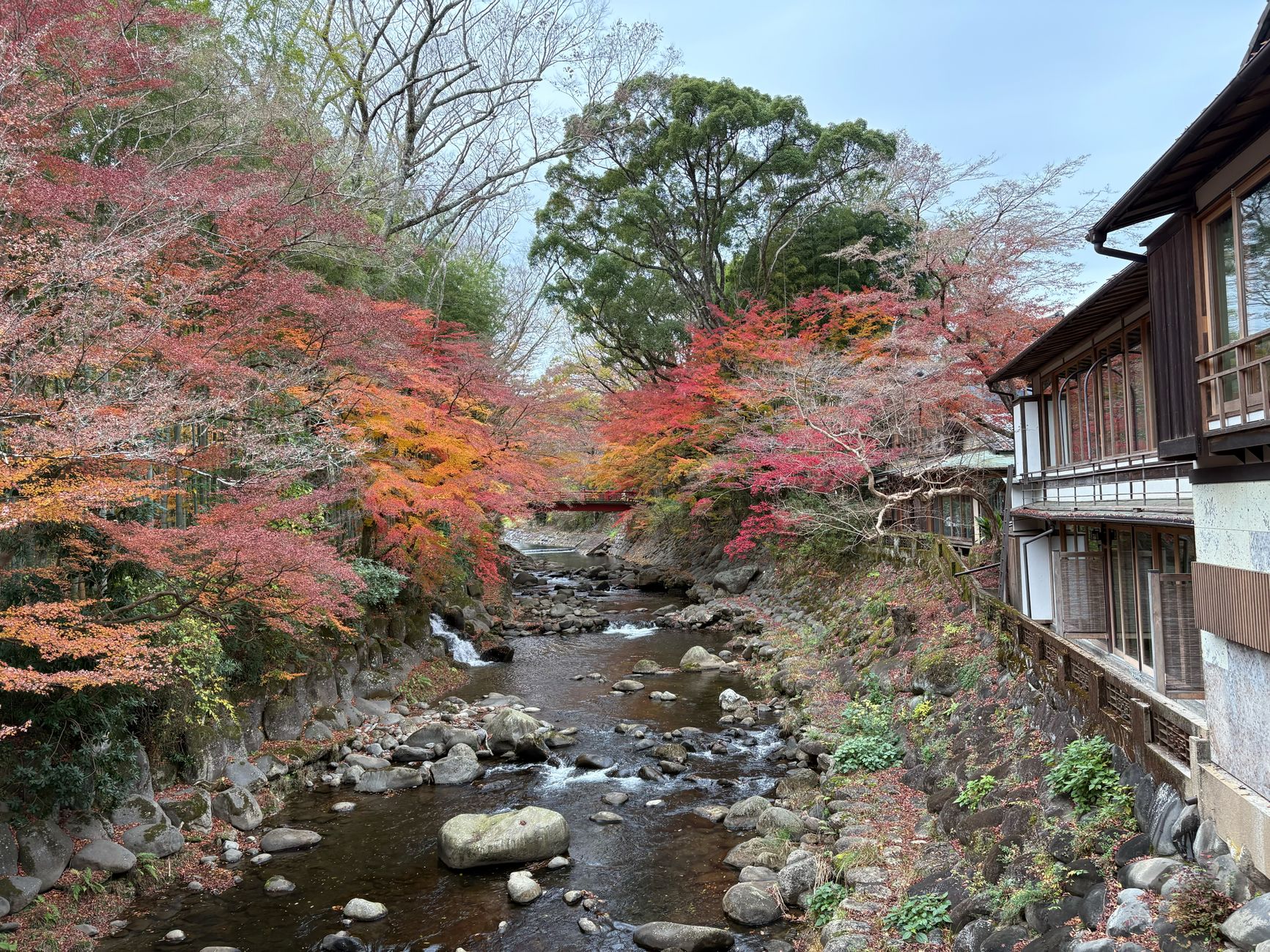 Picturesque autumn scenery of a river flowing through colorful foliage in Izu, Shizuoka, Japan.