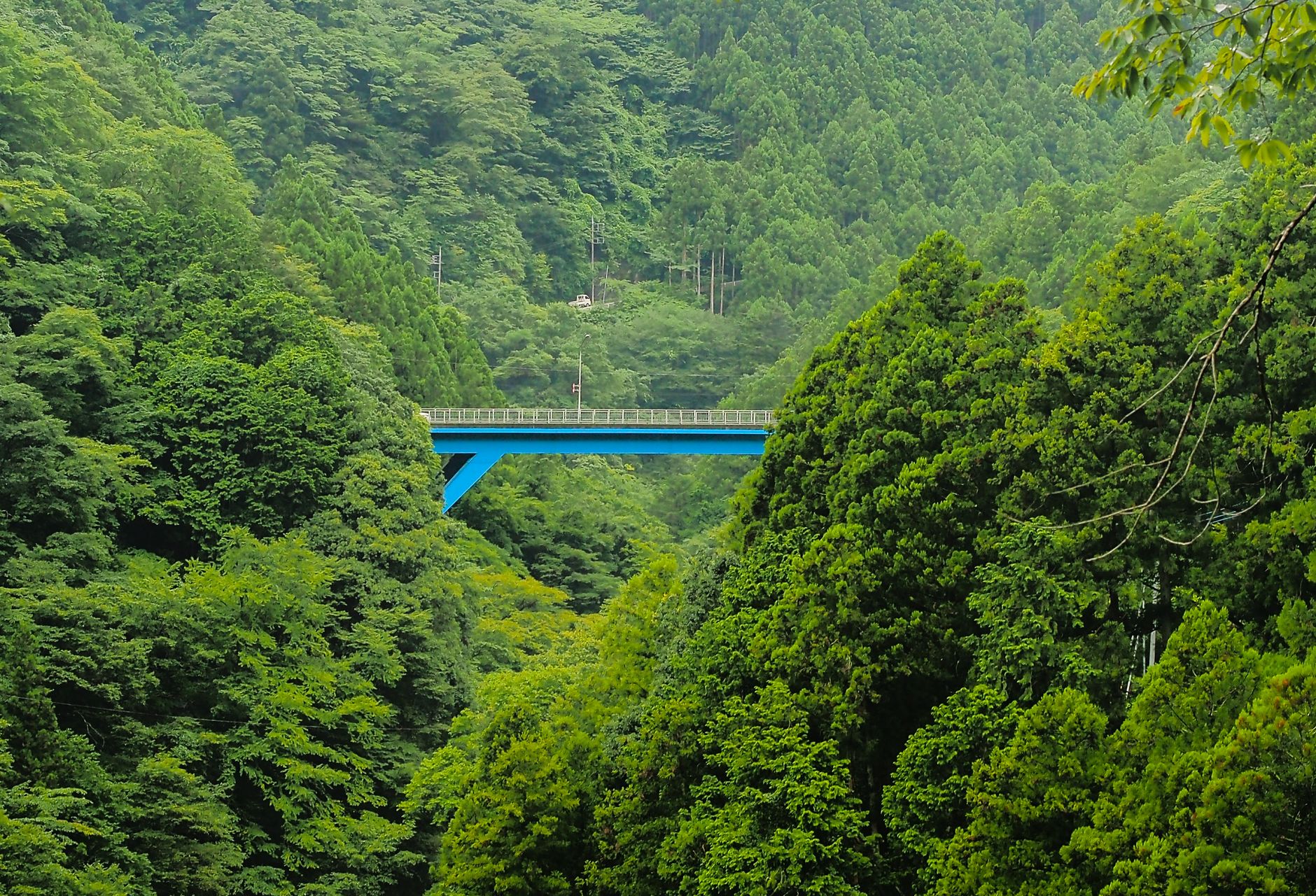 An elevated blue bridge spans lush green forests in Okutama, Tokyo.